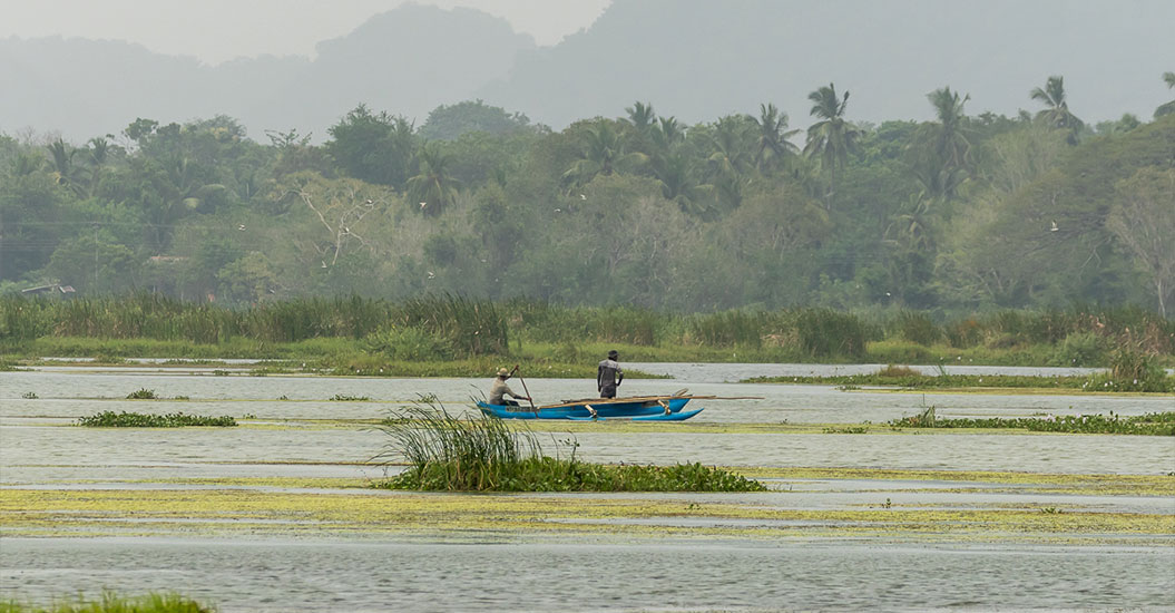 Drømmerejse til fugleparadiset Sri Lanka