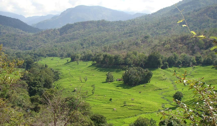 Drømmerejse til fugleparadiset Sri Lanka