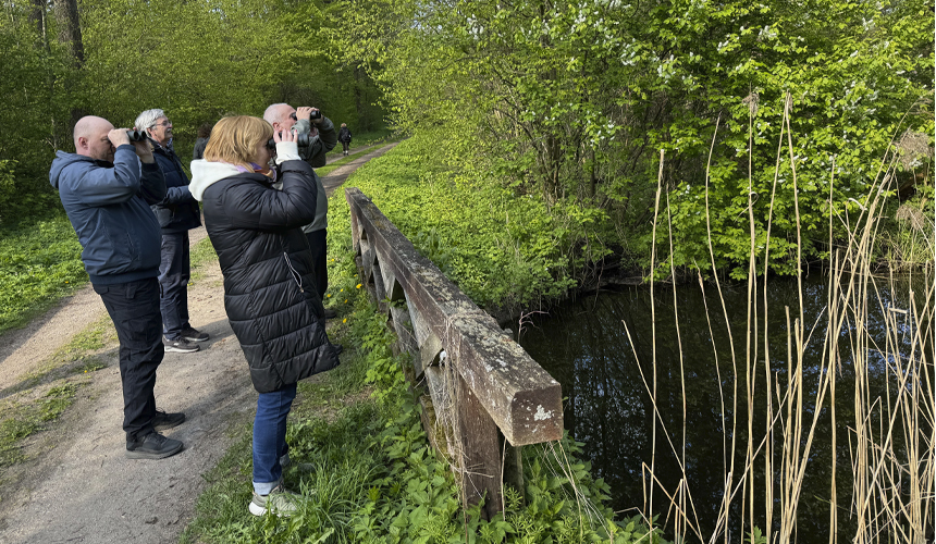 Europas sidste urskov finder du i Polen