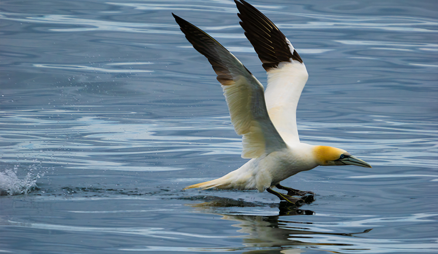 Oplev Canadas storslåede natur