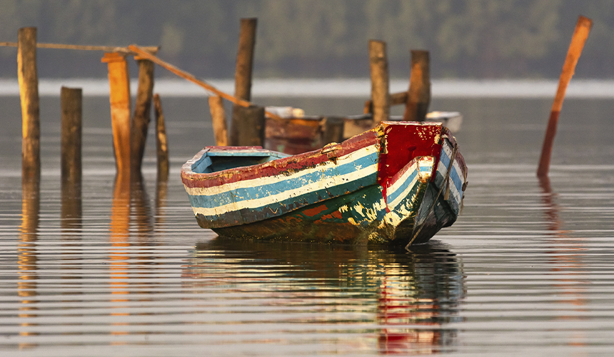 Fugle- og naturrejse i Gambia