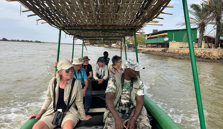 Fugle- og naturrejse i Gambia