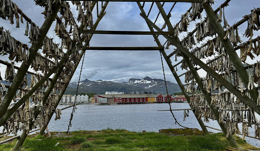 Vil du med på eventyr til Lofoten