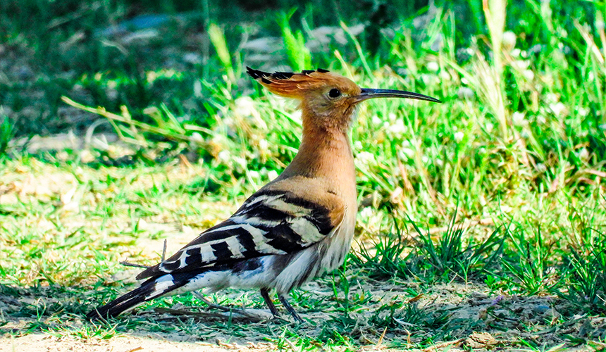 Albanien byder på store naturoplevelser