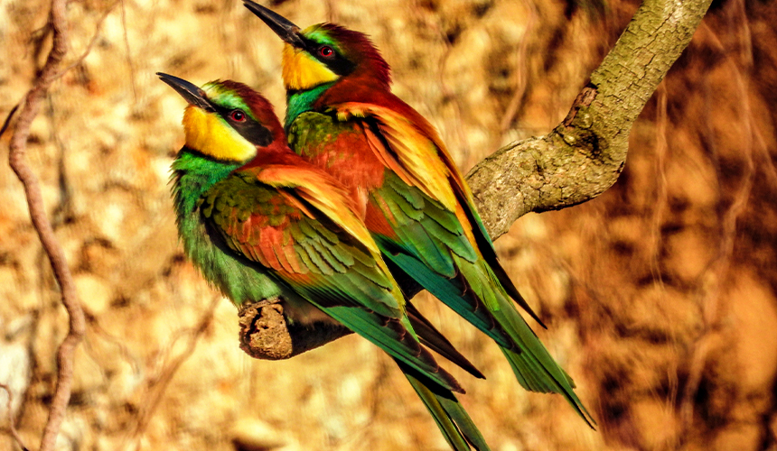 Albanien byder på store naturoplevelser