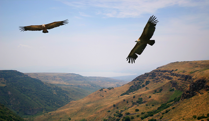 Albanien byder på store naturoplevelser