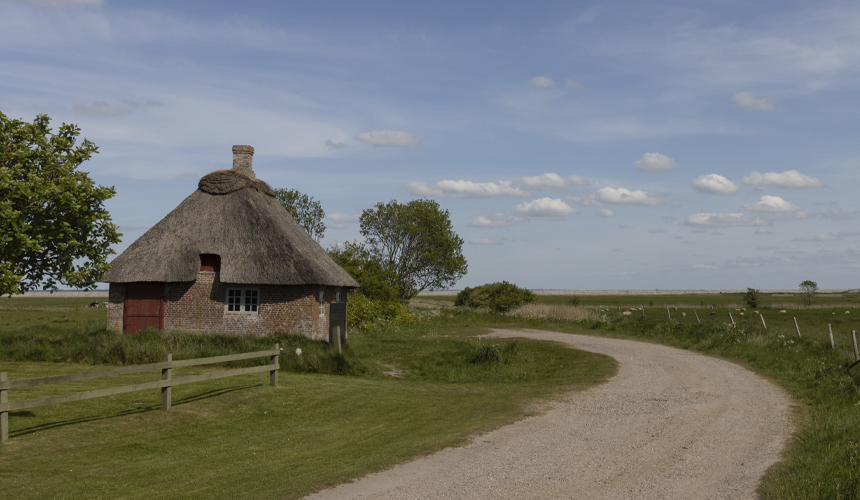 Jubilæumstur til Vadehavet