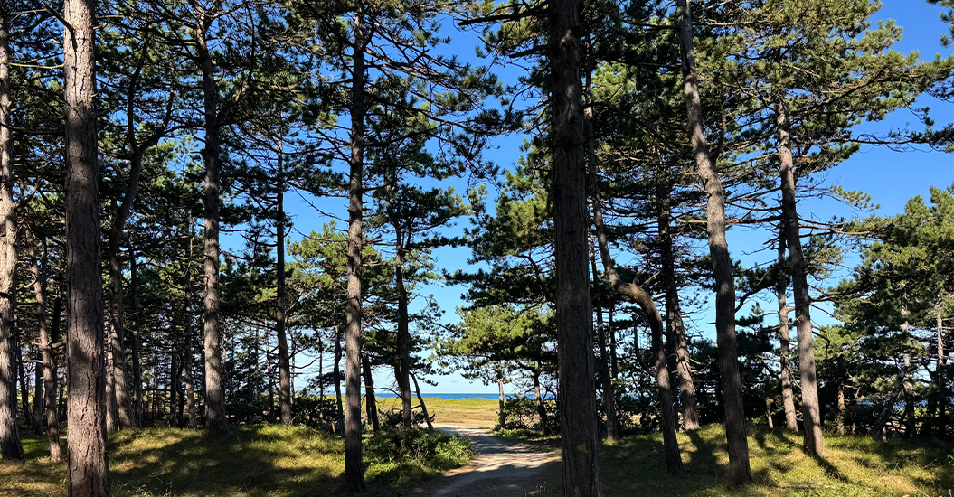Nordkyststien til Lynæs og af Fjordstien til Frederikssund