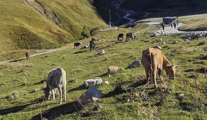 Vandrerejse til spændende Georgien