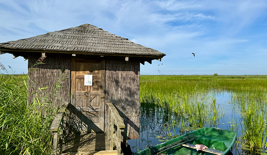 Oplev landet med den storslåede natur