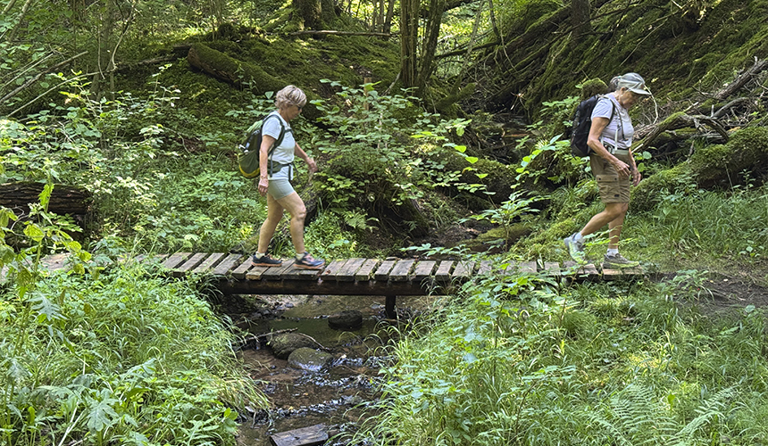 Oplev den vilde natur - så tæt på