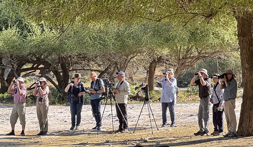 Oman byder på fugleliv og naturoplevelser i Salalah