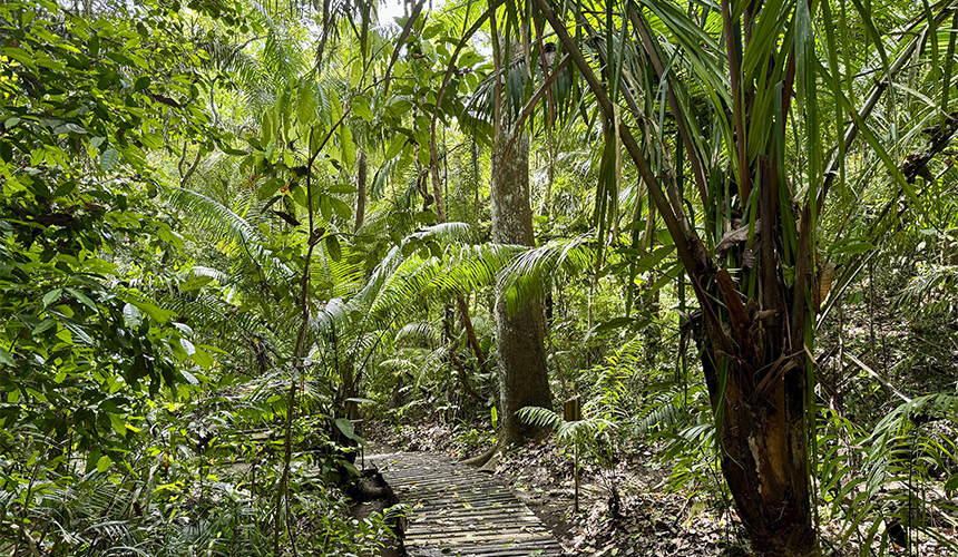 Oplev Panamas storslåede natur