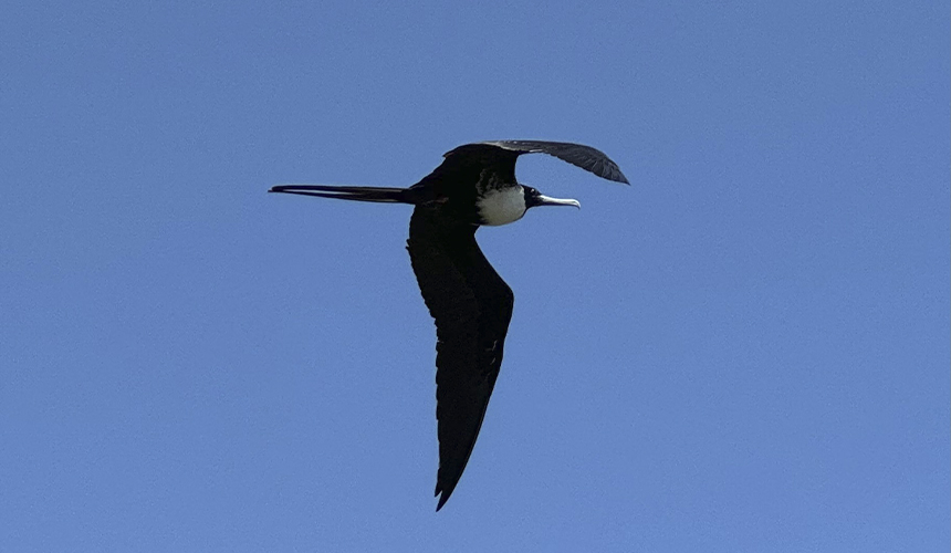 Oplev Panamas storslåede natur