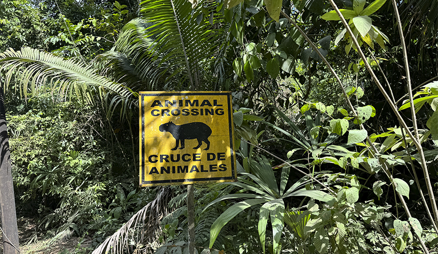 Oplev Panamas storslåede natur