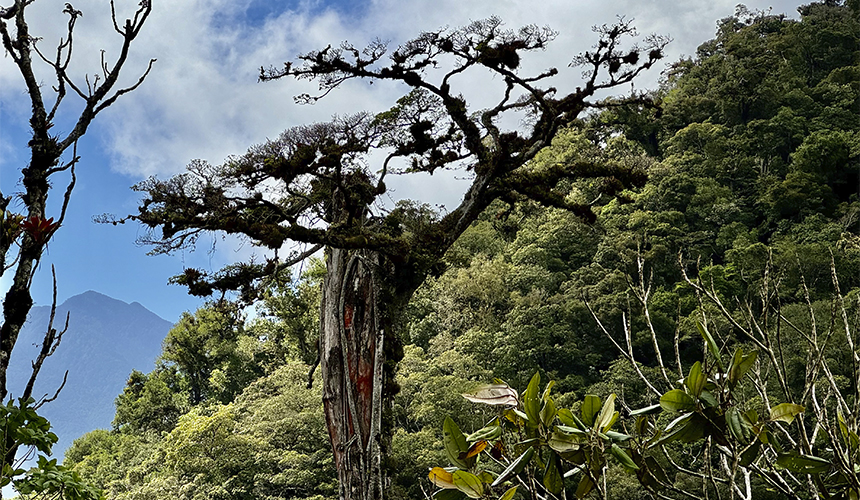 Oplev Panamas storslåede natur