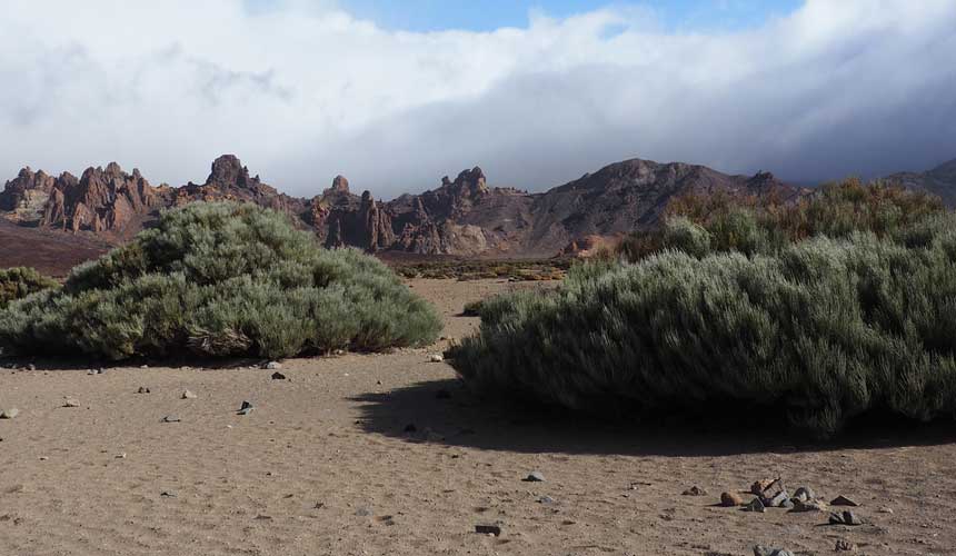 Tenerifa 1