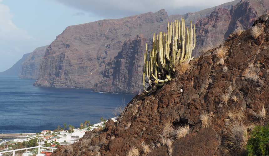 Tenerifa 2
