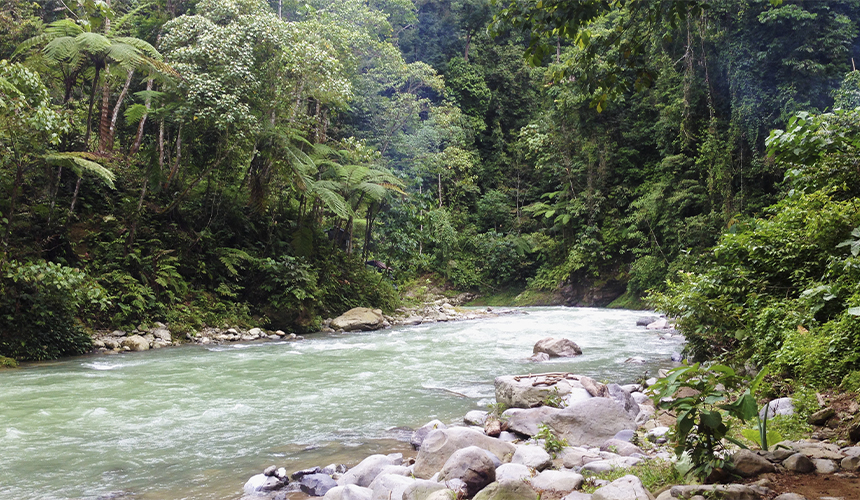 Eventyr i Sumatra-junglen med Sebastian Klein