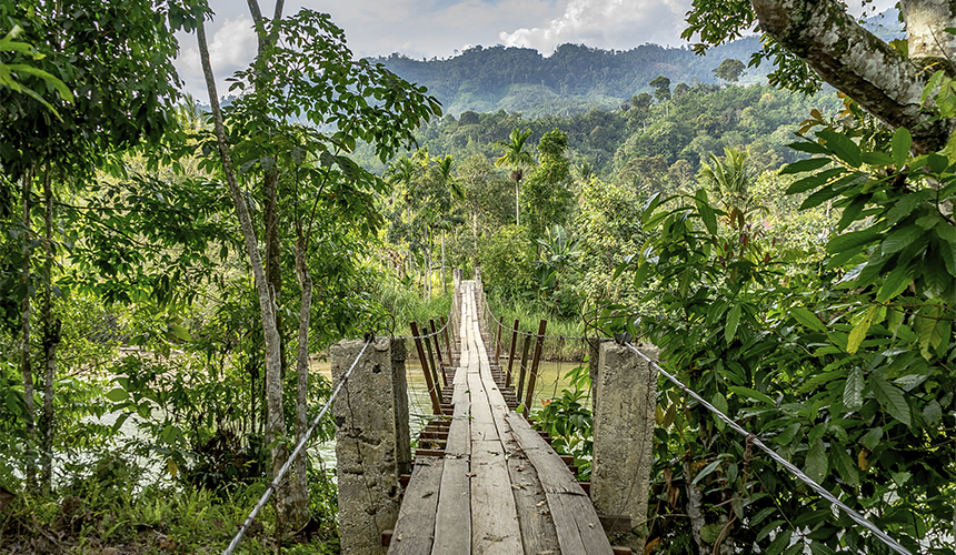 Eventyr i Sumatra-junglen med Sebastian Klein
