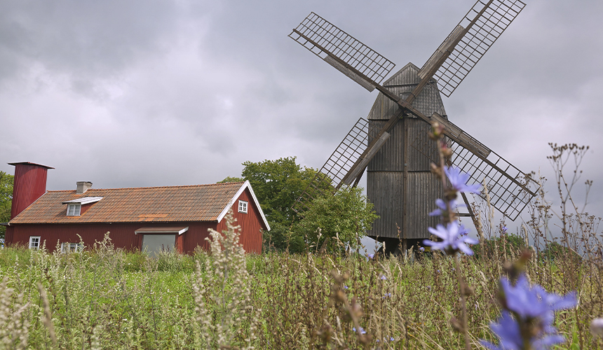Fugle- og naturrejse til Øland 
