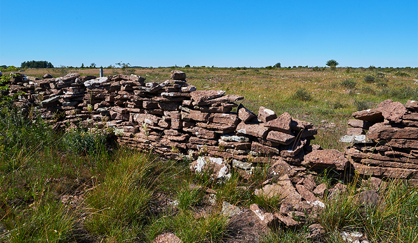 Fugle- og naturrejse til Øland 