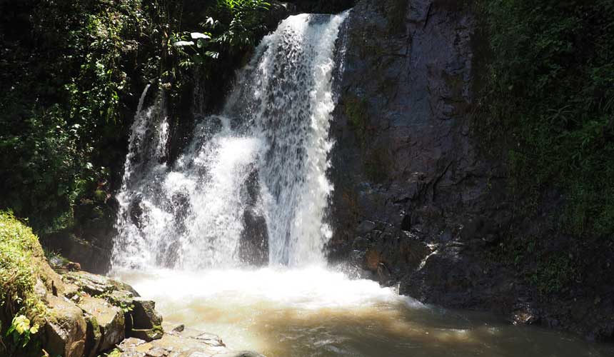 Natur og fugleparadiset Ecuador