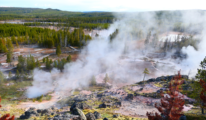 Yellowstone og Great Salt Lake Birds Festival