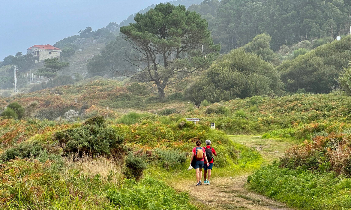 Williams vandreferier